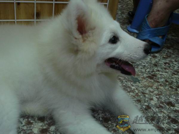С DSC01655.JPG