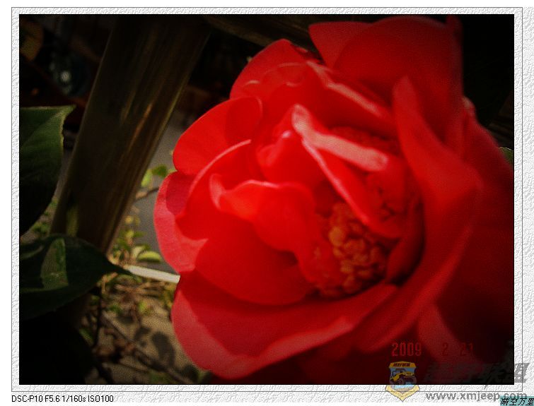 DSC00423a.jpg