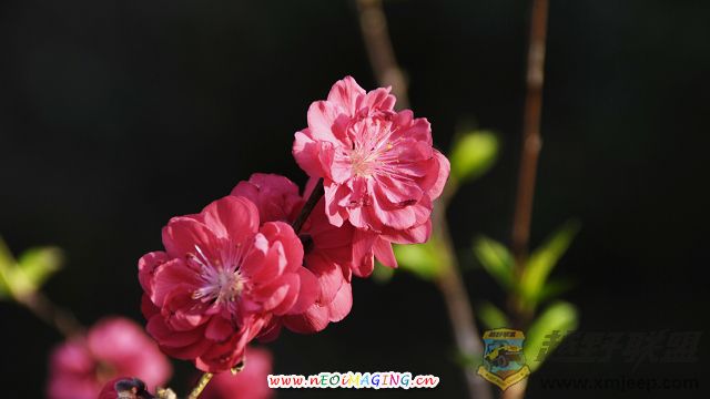 Ƭ 10200.jpg