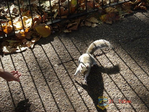 DSC06641.jpg
