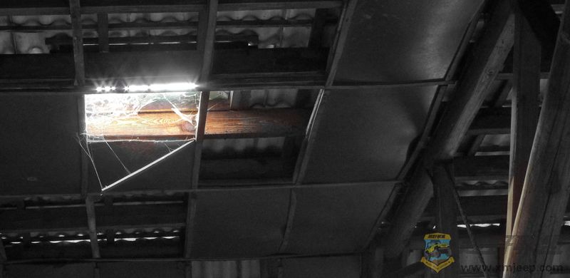 P1020024-w.jpg