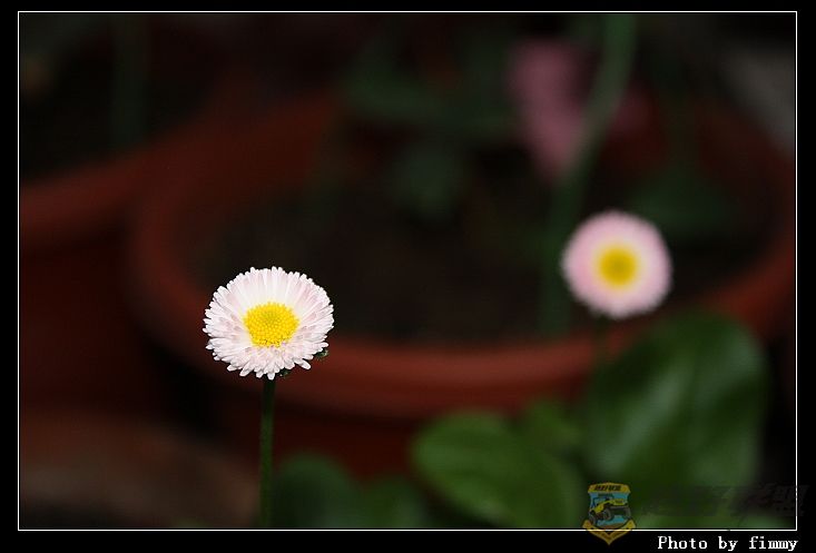 IMG_1590a.jpg