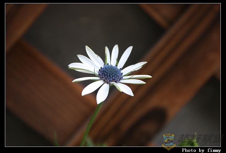 IMG_1666a.jpg