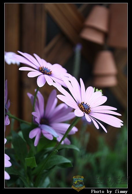 IMG_1672.JPG