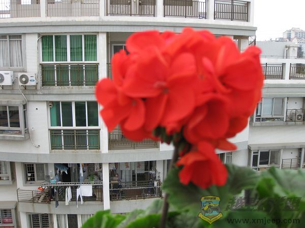 IMG_0374.JPG