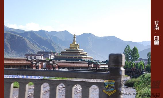 DSC_9780 .jpg