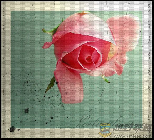___a_rose_by_Suzie006.jpg