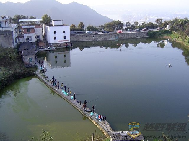 DSC00223.jpg