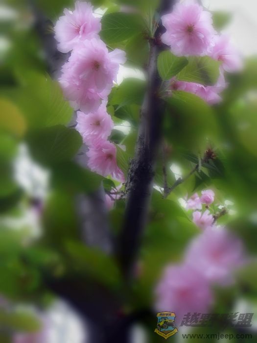 DSC00291.JPG