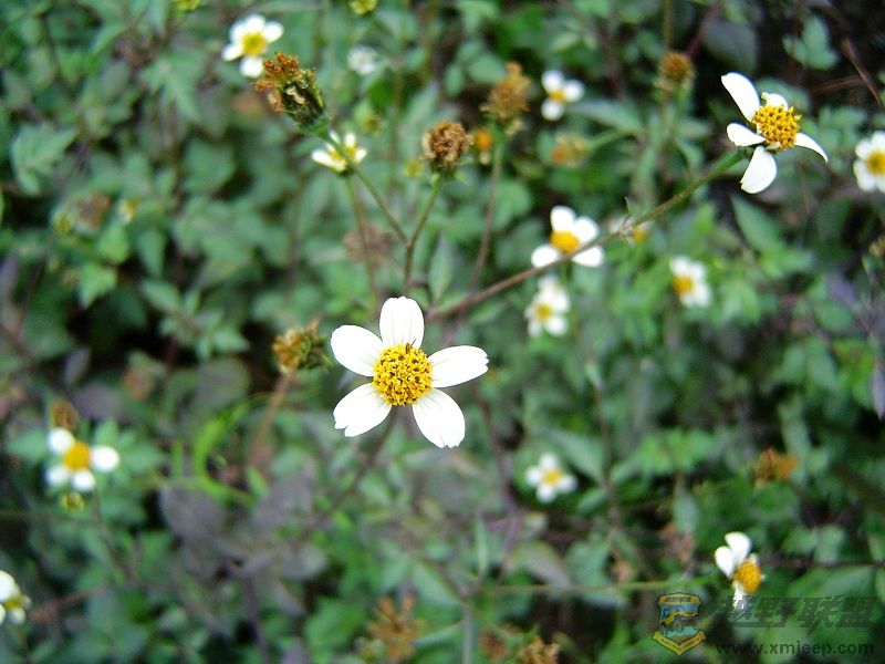 DSC00318.JPG