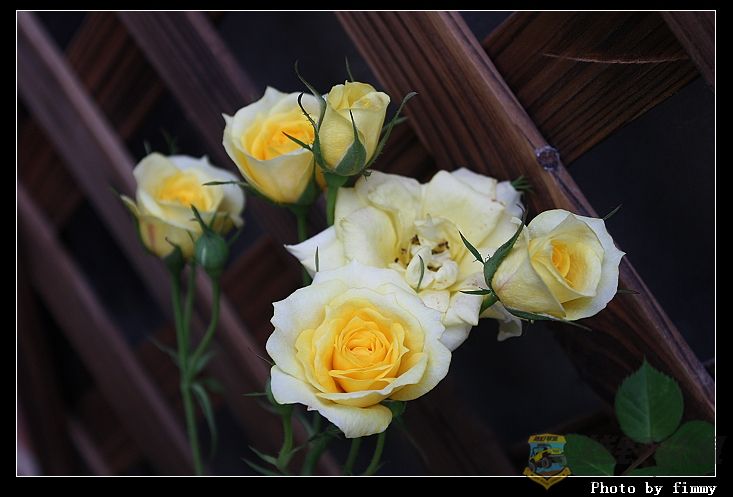 IMG_2472a.jpg