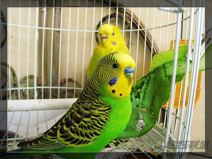 nEO_IMG_IMG_1629.jpg