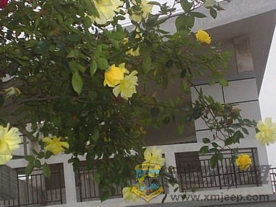S4060.jpg