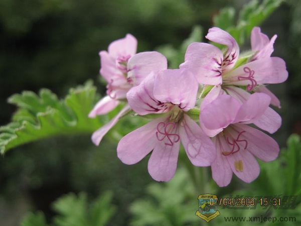 nEO_IMG_IMG_0016.jpg