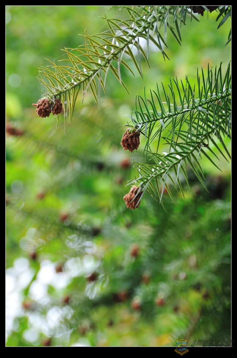 DSC_3810_nEO_IMG.jpg