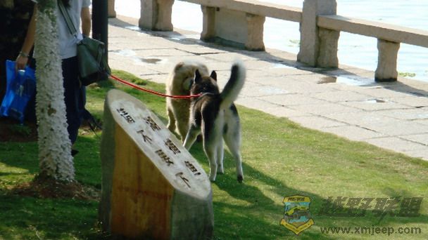 DSC01374_СС.JPG