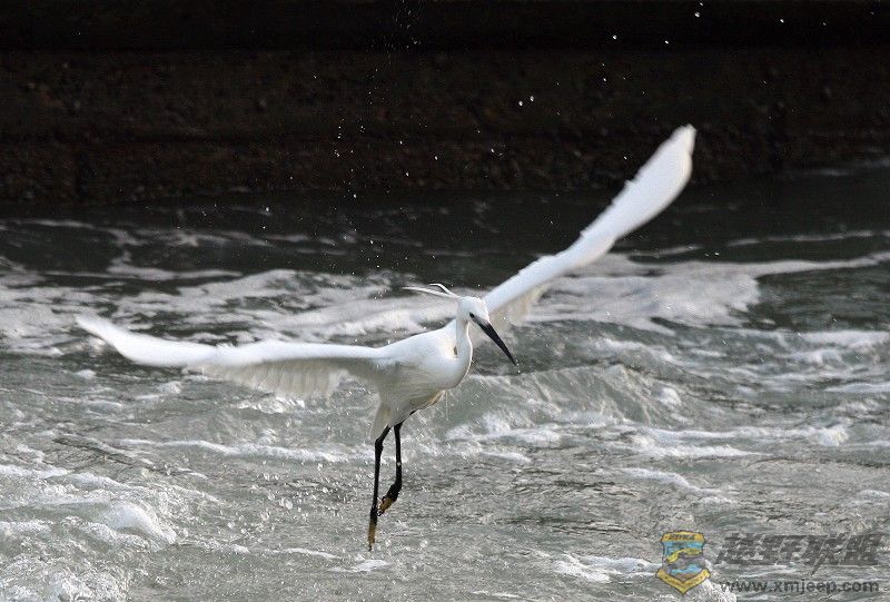 IMG_0321.jpg