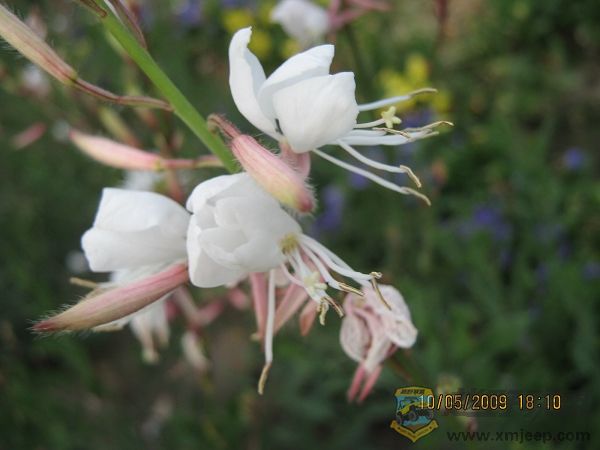nEO_IMG_IMG_0019.jpg