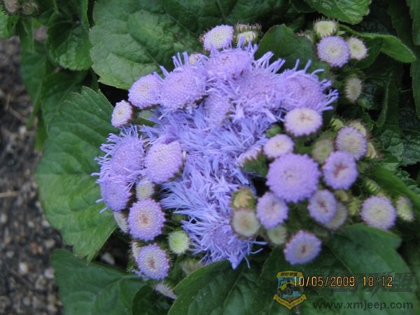 nEO_IMG_IMG_0026.jpg