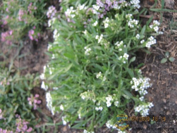 nEO_IMG_IMG_0042.jpg
