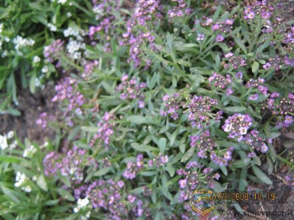 nEO_IMG_IMG_0043.jpg