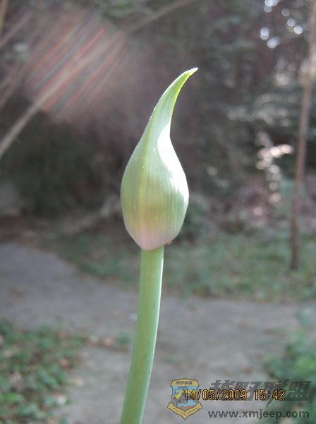 nEO_IMG_IMG_0080.jpg