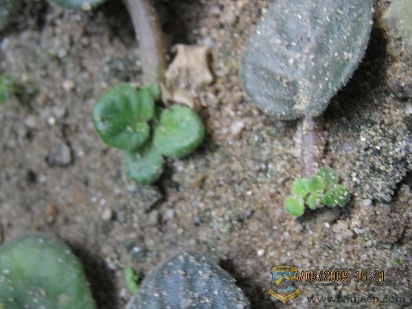 nEO_IMG_IMG_0061.jpg