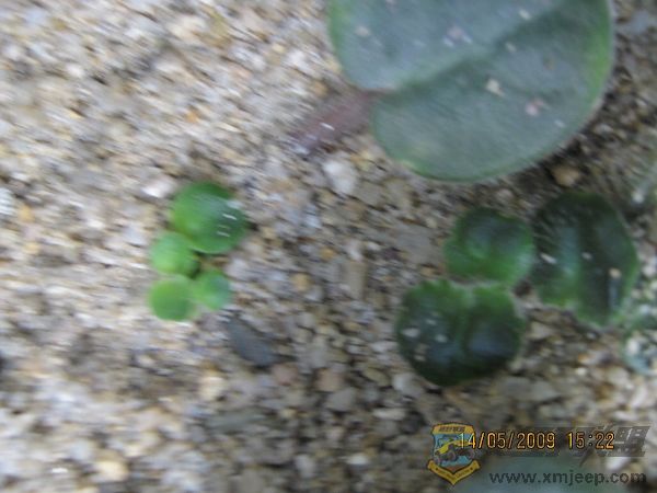 nEO_IMG_IMG_0065.jpg