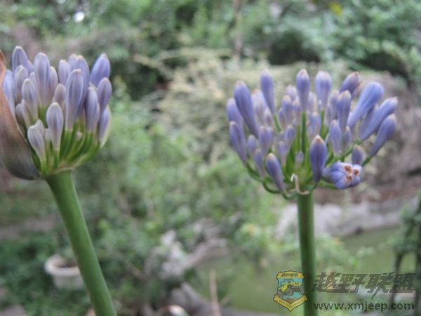 nEO_IMG_IMG_0040.jpg