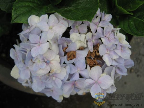 nEO_IMG_IMG_0042.jpg