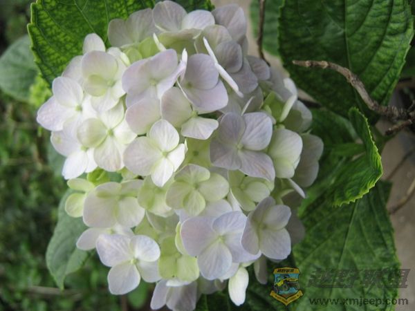 nEO_IMG_IMG_0045.jpg
