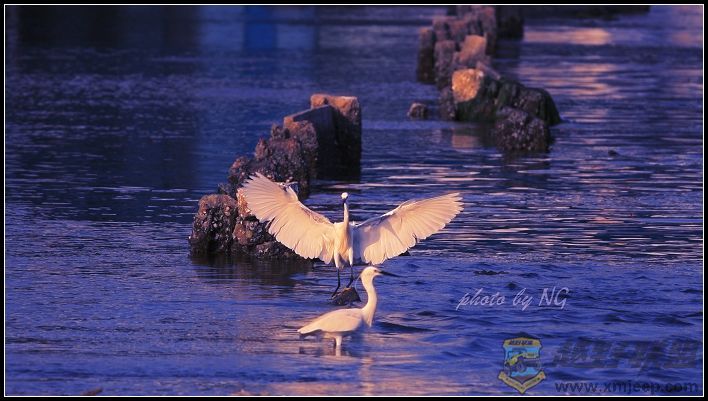 IMG_3726a.jpg