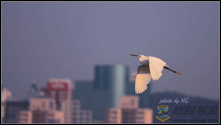 IMG_3800a.jpg
