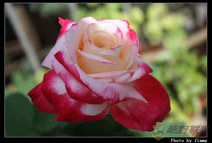 IMG_3645a.jpg