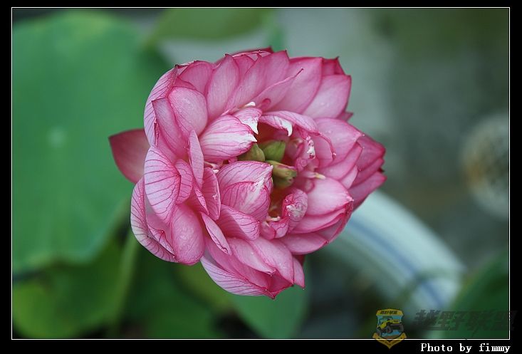 IMG_3674.JPG