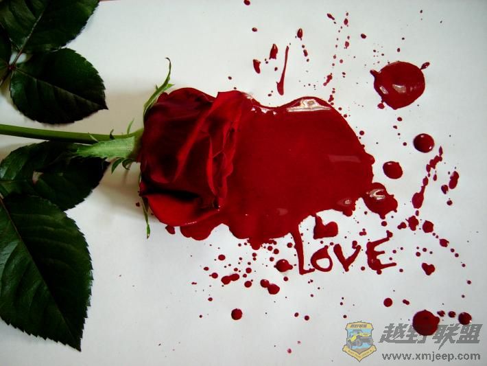 Love_by_LadybirdM.jpg