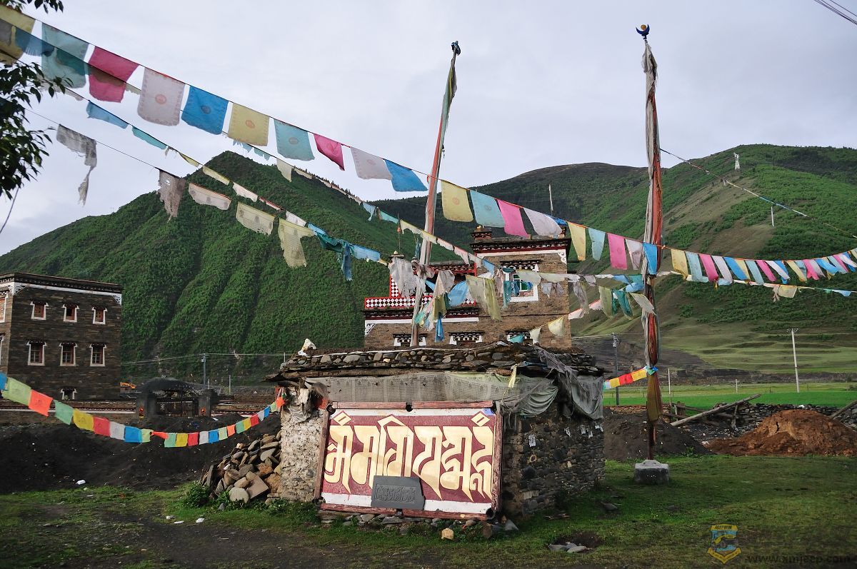 DSC_4493¶.jpg