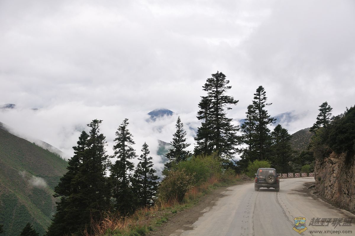 DSC_4526.jpg