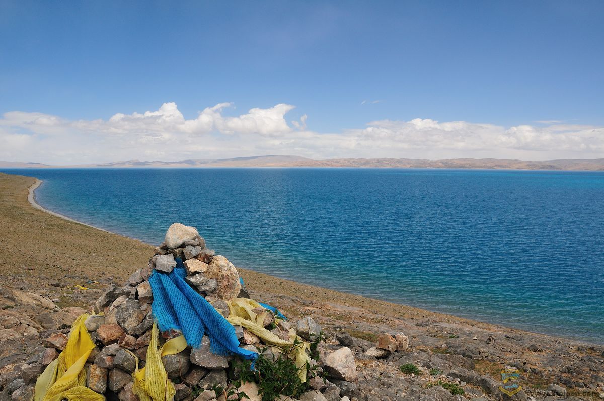 DSC_6253ľ.jpg
