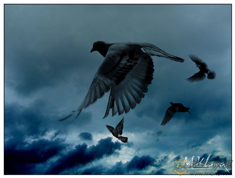 sky_by_klakier666.jpg