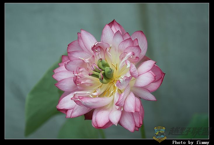 IMG_3696a.jpg