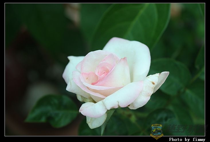 IMG_3704a.jpg
