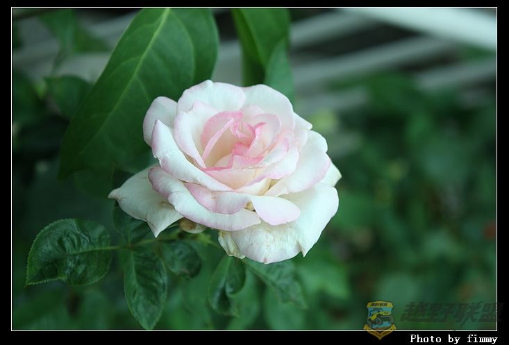 IMG_3721a.jpg