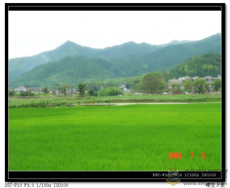 DSC00780a.jpg