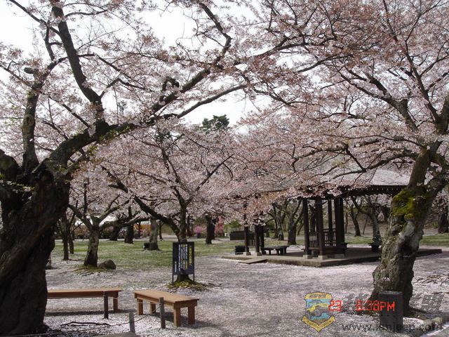 DSC03702.JPG