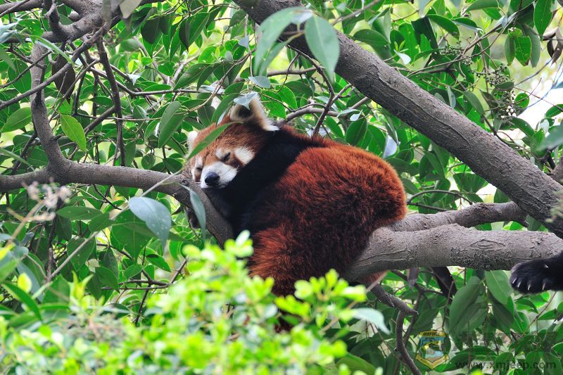 DSC_3246Сè.jpg