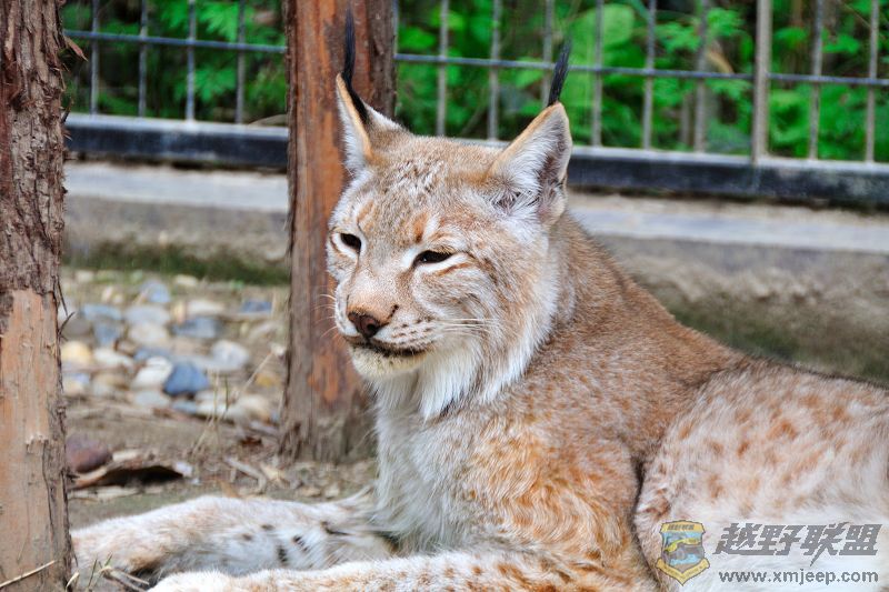 DSC_3269.jpg