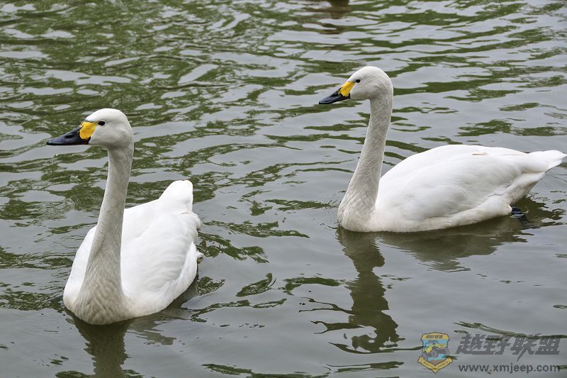 DSC_3306.jpg
