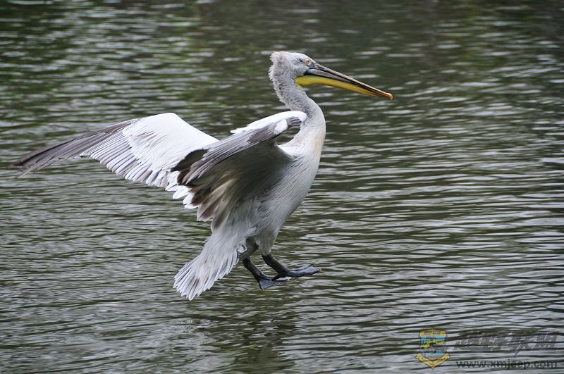 DSC_3314.jpg