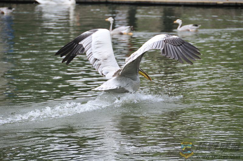 DSC_3317.jpg